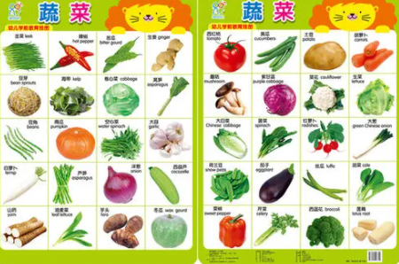 婴儿早教