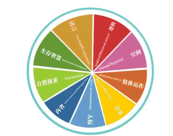 多元智能早教原理
